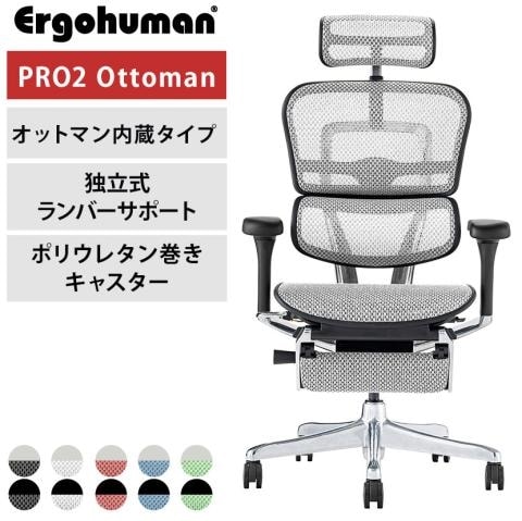 エルゴヒューマン プロ2